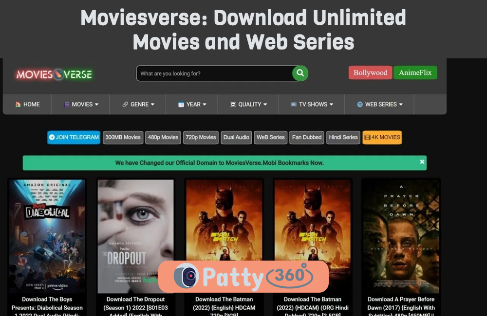 Moviesverse: Download Unlimited Movies and Web Series 