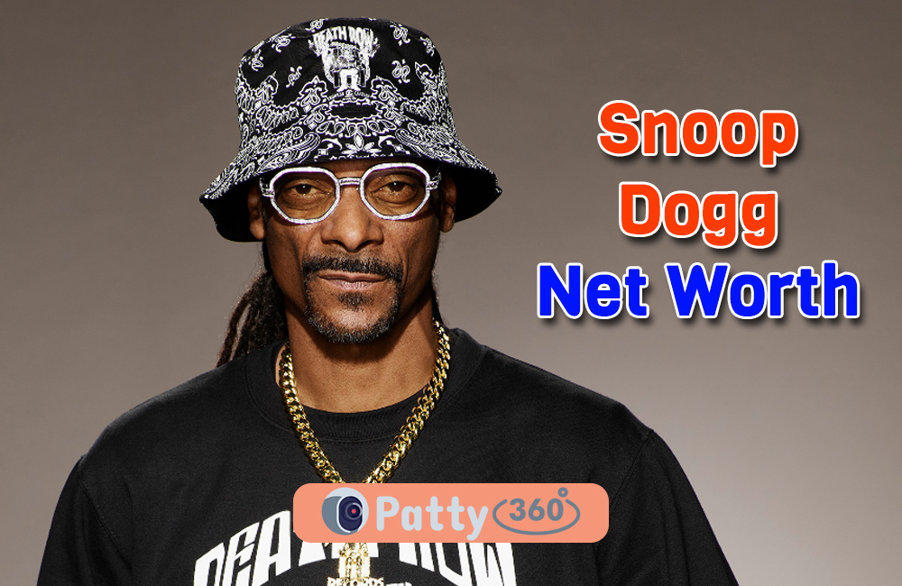 Snoop Dogg Net Worth 2024 Increase Or Decrease Terri